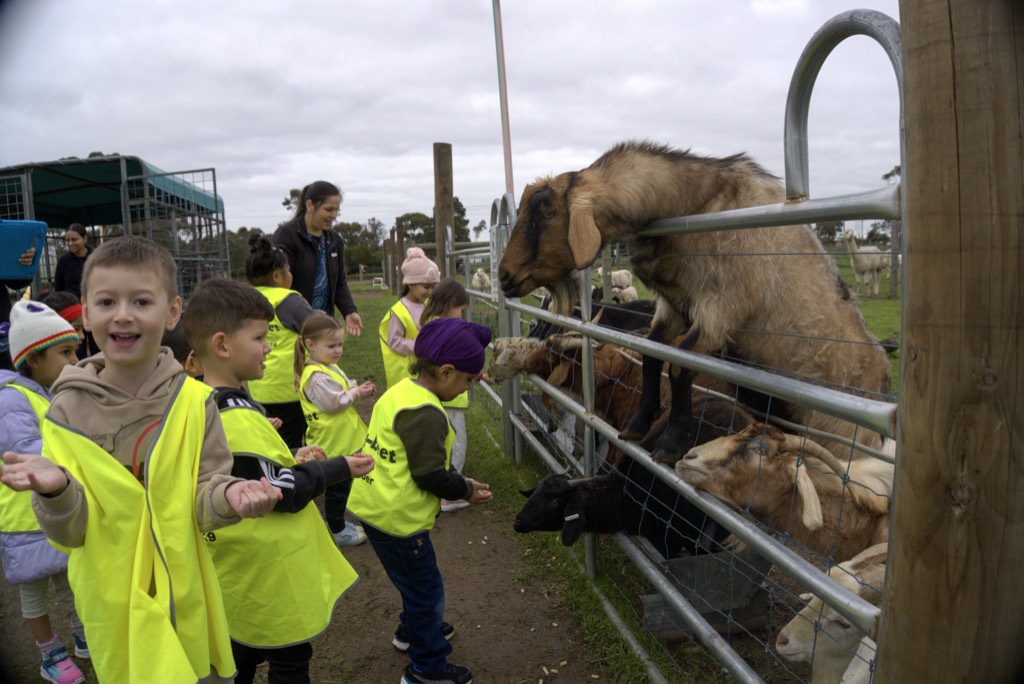 Children meeting farm animals on a Billy-beet excursion