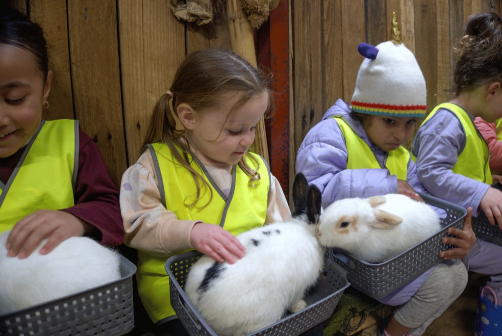 Children gently patting rabbits on a Billy-beet Melton farm excursion