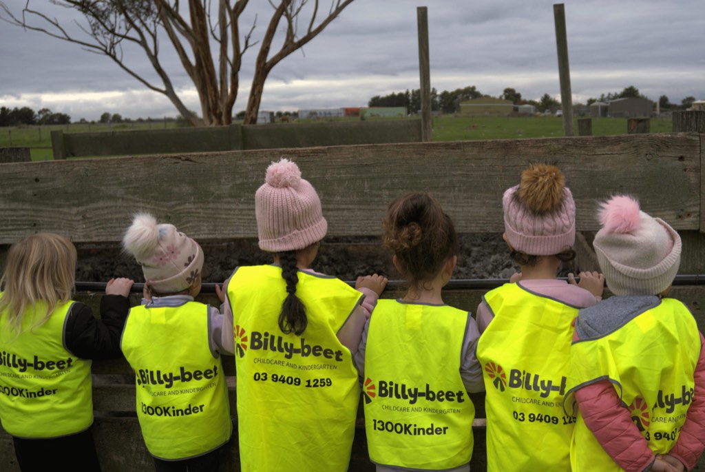 Children in Billy-beet hi-vis vests watching the animals over a farm fence