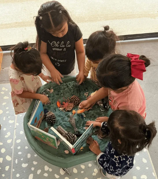 childcare and kindergarten celebrating sea week childcare and kindergarten celebrating sea week